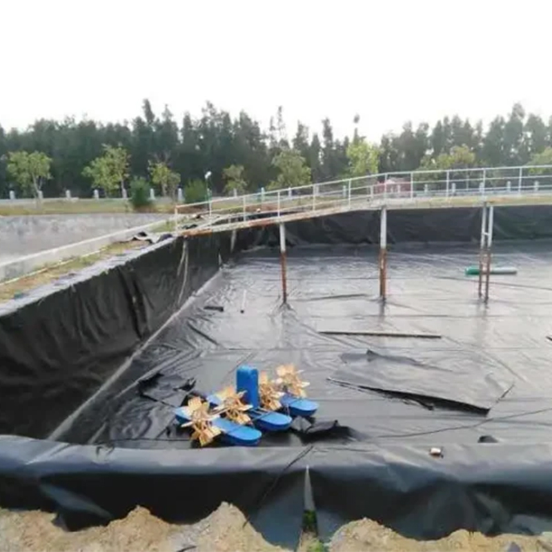 Key Applications of HDPE Geomembrane in Fish Pond Construction