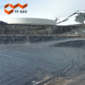 PVC geomembranes