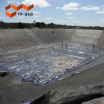 PVC geomembranes