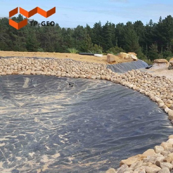 PVC geomembranes