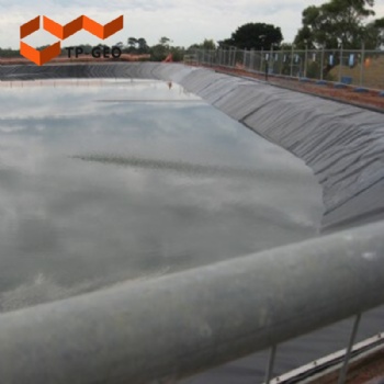 PVC geomembranes