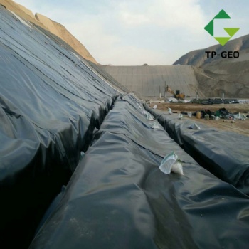 PVC geomembranes